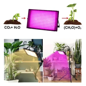 50/100/200 / 300 Вт светодиодный светильник для выращивания растений полного спектра, фитолампа, лампы для выращивания комнатных растений, цветочная рассада